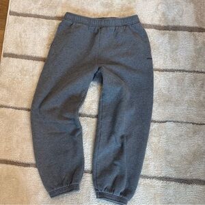 Aritzia Mega Fit Sweats